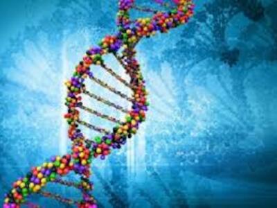 mutaciones geneticas