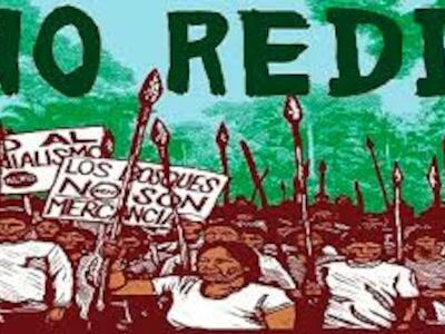 no redd +