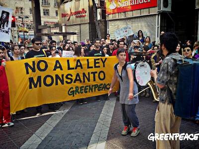 no a la ley monsanto guatemala