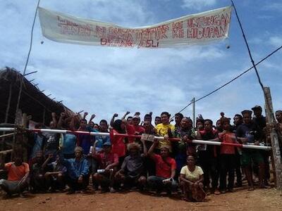 no a la tala de selvas malasia