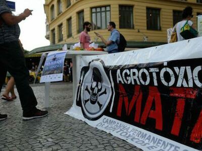 No a los agrotóxicos