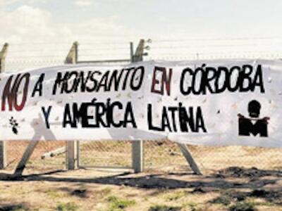 no a monsanto en córdoba