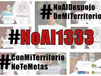 no al 1333