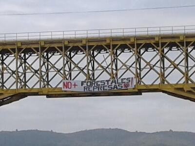 No más forestales ni hidroeléctricas
