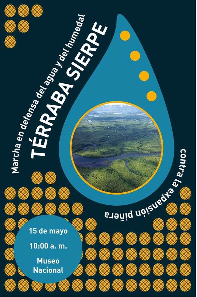 Costa Rica: ¡No más piñeras en zona Sur! | Biodiversidad en América Latina