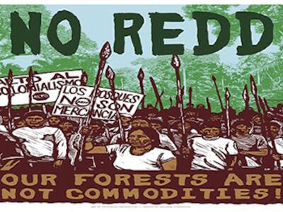 no redd
