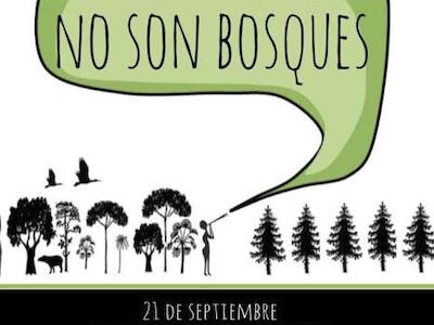 nobosques