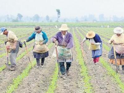 omc y agricultura