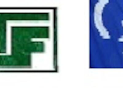 org