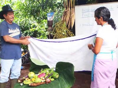 Parcela Los Mangos