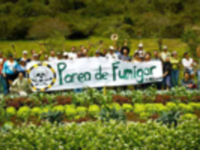 parendefumigar