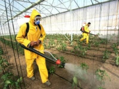 Pesticidas - ESpaña