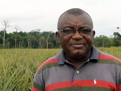 piña en nigeria