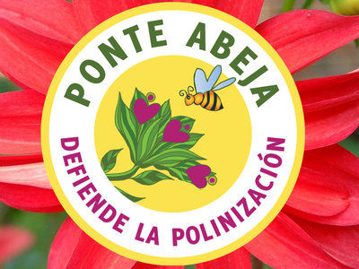 Ponte Abeja Flower image 