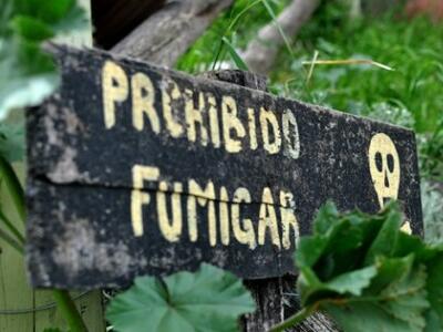 prohibido fumigar