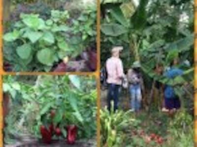 Propuestas y trabajo sobre manejo comunitario de territorios desde el caribe colombiano
