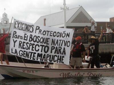 Protests-against-transgenic-trees-and-tree-monocultures-in-Chile-during-an-industrial-conference-in-South-Carolina-United-States-2006-768x387