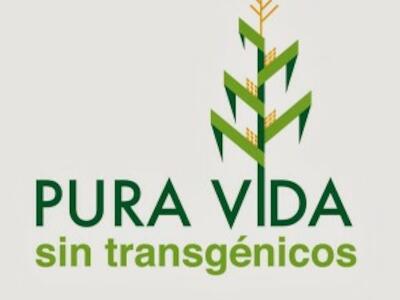 Pura-Vida-sin-Transgenicos-02-300x300