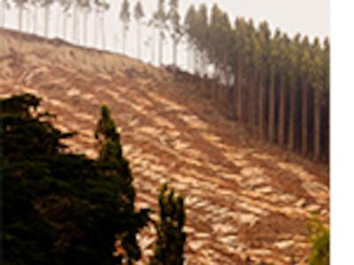 Rec_GE-trees