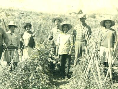 reforma agraria