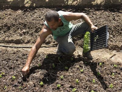 Reforma agraria - Brasil