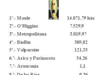 Regiones+%2B+contaminadas+x+maíz+ogm+2