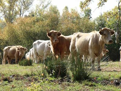 Sanabria-4-1024x575