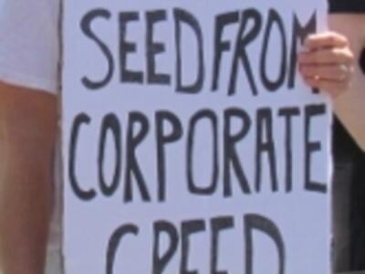 save our seed