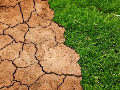 Se agudiza fenómeno del calentamiento global frente a escepticismo colectivo