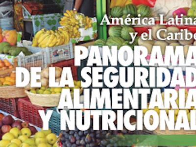 Seguridad Alimentaria