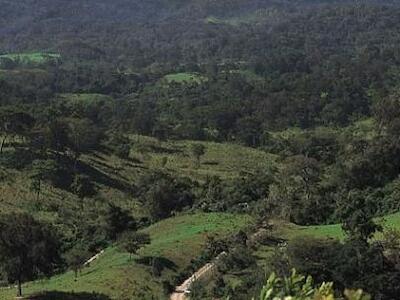 selva-chimalapas-oaxaca