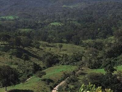 selva-chimalapas-oaxaca