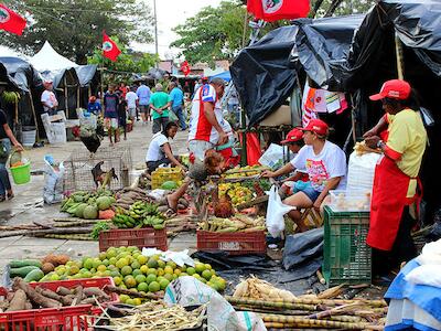 Sem Terra demonstram força da agricultura camponesa na 15ª Feira da Reforma Agrária