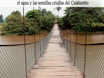 semillas catacumbo