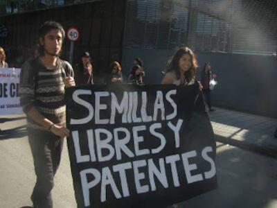 semillas libres y sin patentes jpg