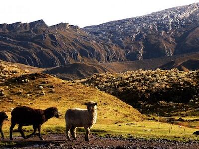 sierra-nevada-del-cocuy-800x445_thumb