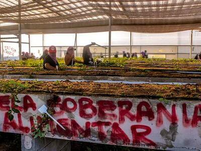 soberania-alimentaria