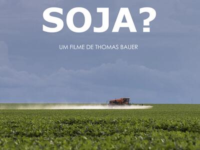 Soja - Brasil