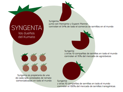 syngenta2