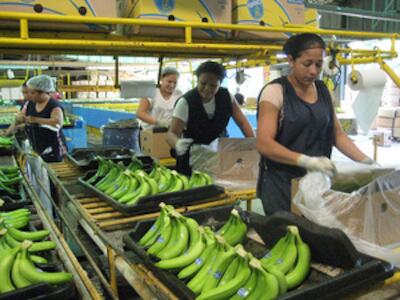 tlc y condiciones laborales