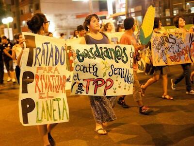 tpp_semillas_ok_copy
