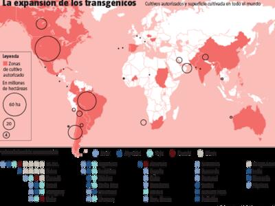 transgénicos