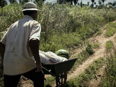 Un libro que explica las razones del conflicto por la tierra en Paraguay