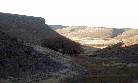 argentina-la-meseta-no-es-un-desierto-la-necesidad-de-rebatir-los