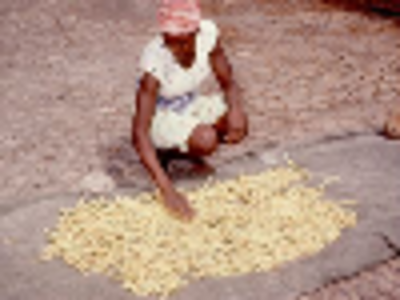 Saberes tradicionales