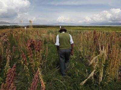 ¿De qué va la ley propuesta por Bolivia para limitar la "extranjerización de la tierra"?