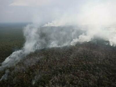Opinión FT: Escándalo en Brasil revela problemas del mercado de créditos de carbono en la Amazonia