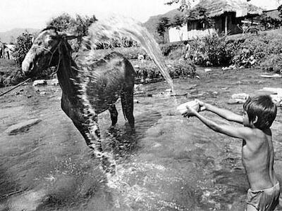 SEMBRAR TU AGUA EN LA CHINANTLA