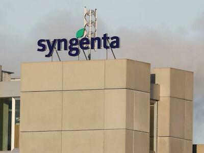 El negocio de envenenar: Syngenta, el herbicida atrazina y sus impactos en la salud y el ambiente