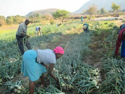 ¡La lucha por la justicia agraria en Zimbabue, Sudáfrica y en todo el Sur Global no es sólo una lucha local, es una lucha global!